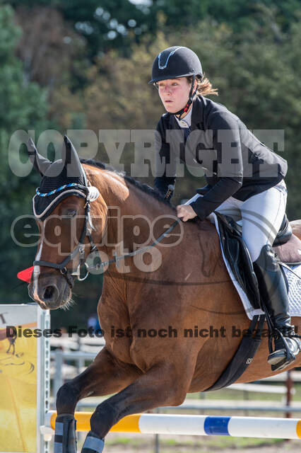 Landesturnier Rheinland, Vielseitigkeit, 22.+23.08.2020