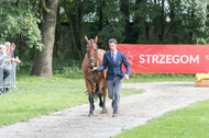FEI European Championship Eventing 2017