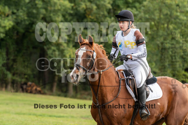 Vielseitigkeit RSV Wesel Obrighoven (26.+27.09.2020)