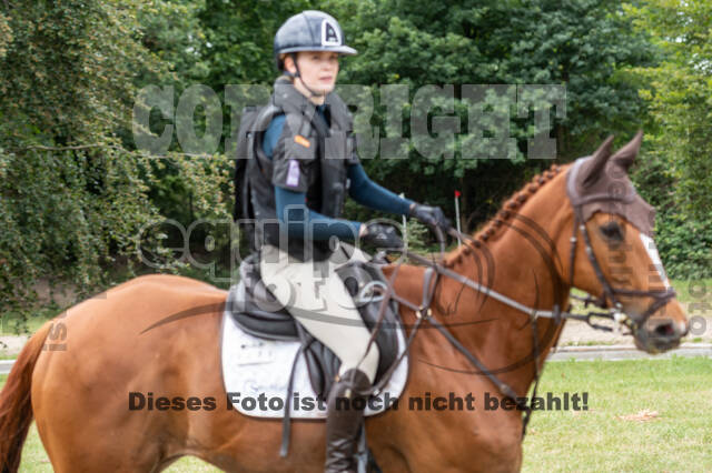 Late-Entry-Vielseitigkeit Langenfeld (11.+13./14.06.2020)
