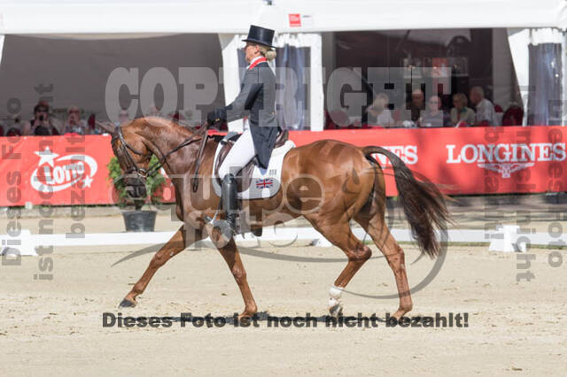 FEI European Championship Eventing 2017