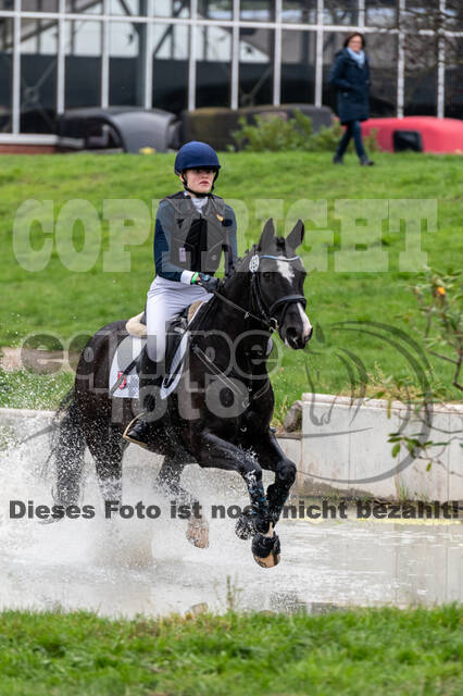 Goldene Schärpe 2020 - Pferde