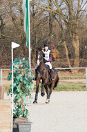 Eventing Langenfeld 2018