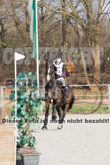 Eventing Langenfeld 2018