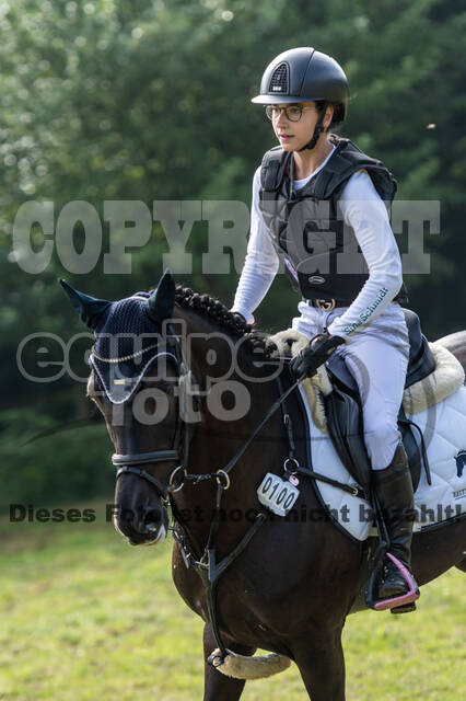 Goldene Schärpe 2021 - Ponys