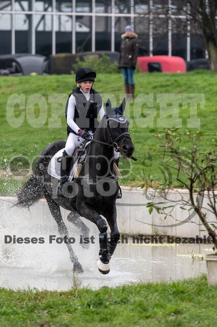 Goldene Schärpe 2020 - Pferde