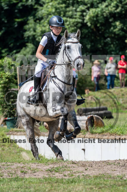 Goldene Schärpe 2021 - Ponys