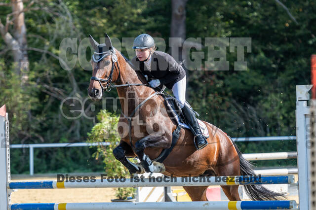 RFV Dinslaken-Hiesfeld (Herbstturnier)