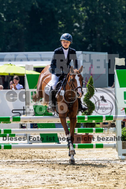 Goldene Schärpe 2021 - Ponys