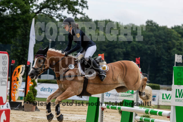 Goldene Schärpe 2021 - Ponys