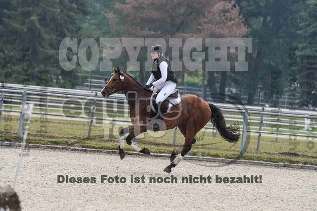 Late-Entry-Vielseitigkeit Langenfeld (11.+13./14.06.2020)