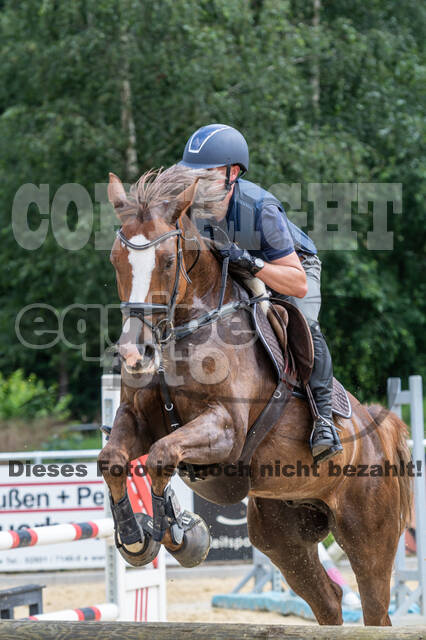 Hunter Geländetraining 10.07.2021 (Sonsbeck)