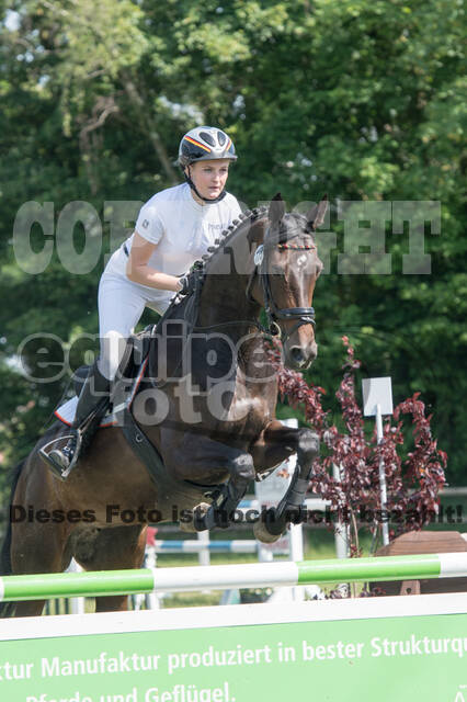 Vielseitigkeitsturnier ZRuFV von Lützow Hamminkeln
