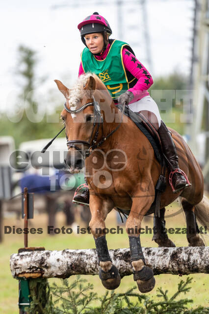 Vielseitigkeit RSV Wesel Obrighoven (26.+27.09.2020)