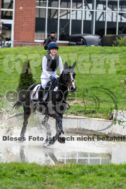 Goldene Schärpe 2020 - Pferde