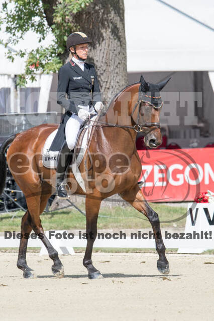 FEI European Championship Eventing 2017