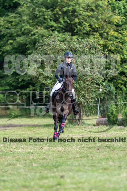 Goldene Schärpe 2021 - Ponys