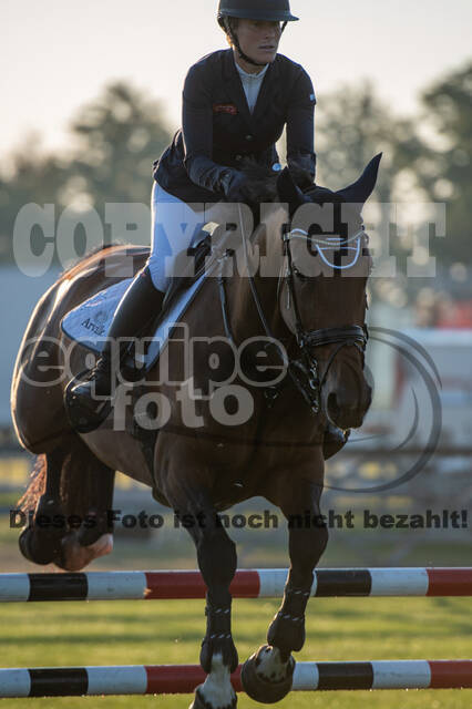 De Peelbergen (August 2020)