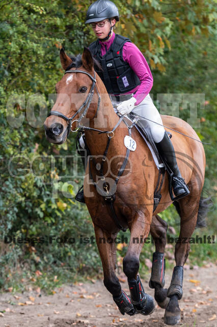 Goldene Schärpe 2020 - Pferde