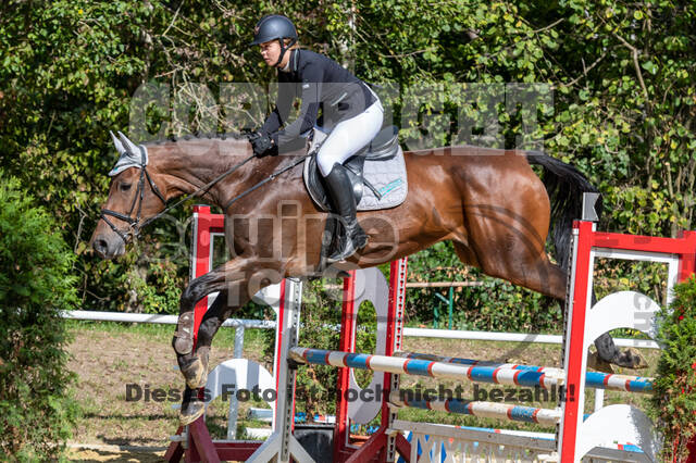 RFV Dinslaken-Hiesfeld (Herbstturnier)