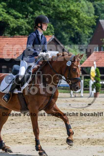 Goldene Schärpe 2021 - Ponys