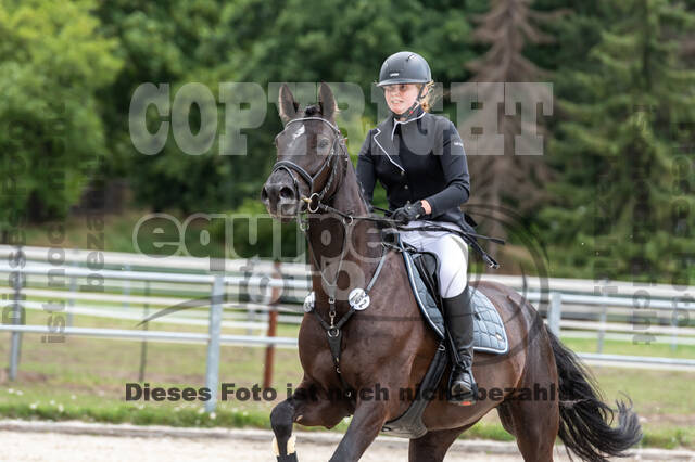 Late-Entry-Vielseitigkeit Langenfeld (06.+07.07.2020)