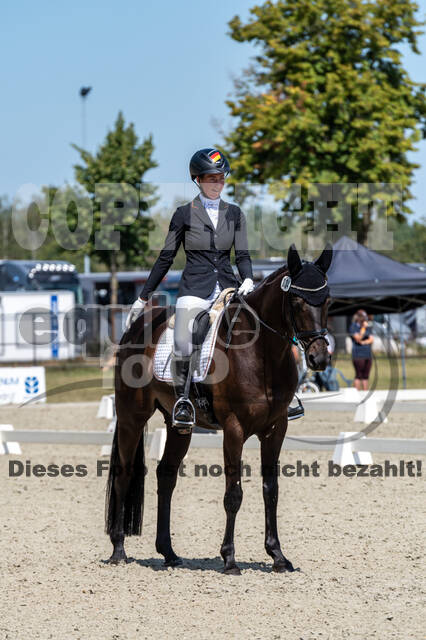 Kronenberg - De Peelbergen (August 2020)