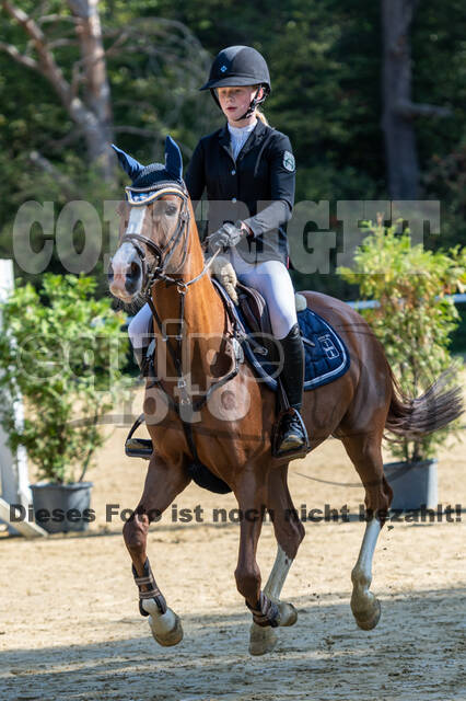 RFV Dinslaken-Hiesfeld (Herbstturnier)