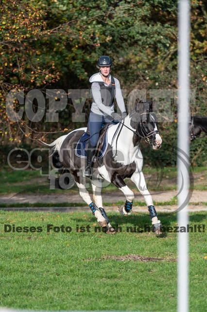 IGV Lehrgang der Sieger der Cups mit Frank Ostholt