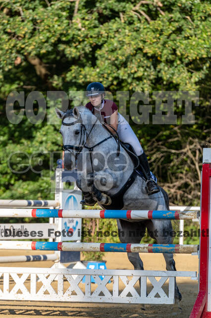 RFV Dinslaken-Hiesfeld (Herbstturnier)