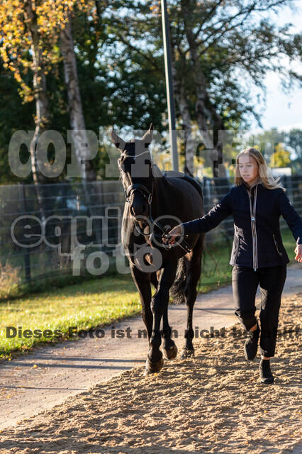 Deutsche Meisterschaft Vielseitigkeit (Luhmühlen)