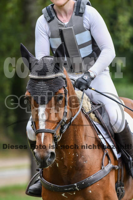 Late-Entry-Vielseitigkeit Langenfeld (11.+13./14.06.2020)