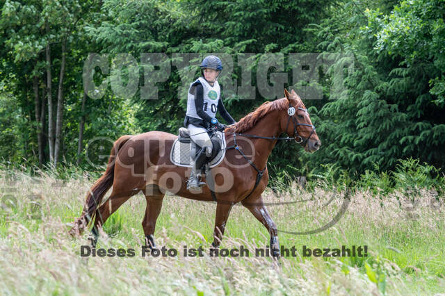 Westerstede Horse Trials 2021
