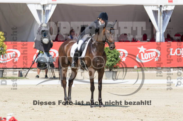 FEI European Championship Eventing 2017