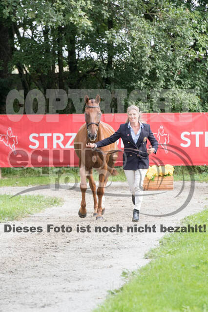 FEI European Championship Eventing 2017
