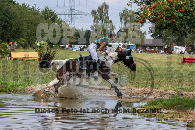 Late-Entry-Vielseitigkeit Gahlen (18.07.2020)