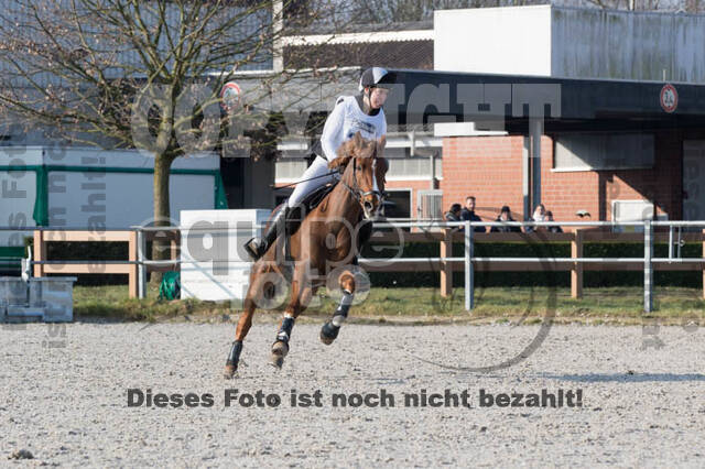 Eventing Langenfeld 2018