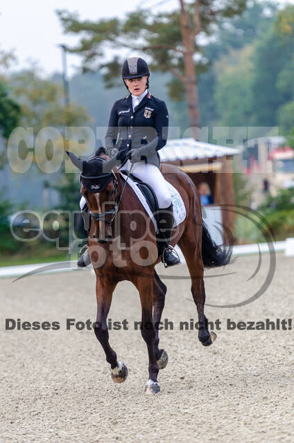 Deutsche Meisterschaft Vielseitigkeit (Luhmühlen)