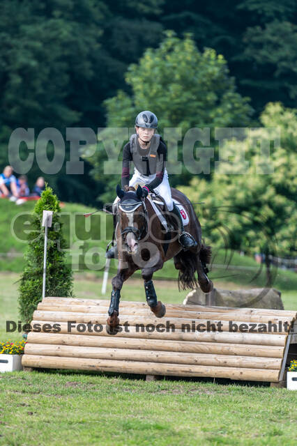 Goldene Schärpe 2021 - Ponys