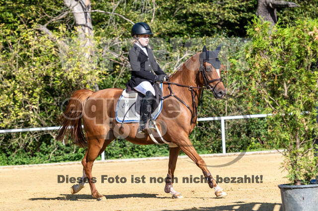 RFV Dinslaken-Hiesfeld (Herbstturnier)