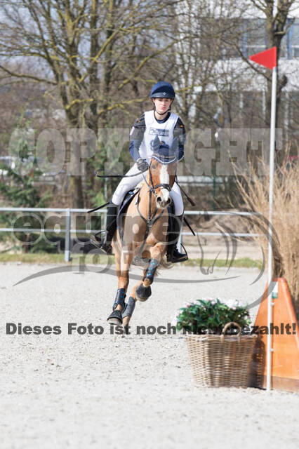 Eventing Langenfeld 2018