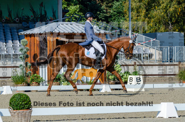 Deutsche Meisterschaft Vielseitigkeit (Luhmühlen)