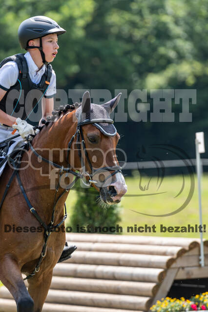 Goldene Schärpe 2021 - Ponys