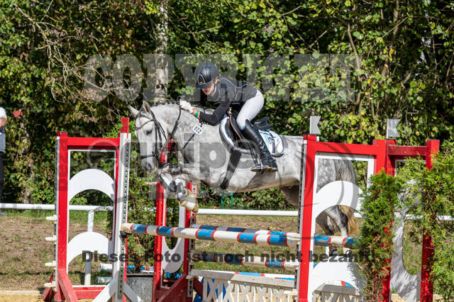 RFV Dinslaken-Hiesfeld (Herbstturnier)