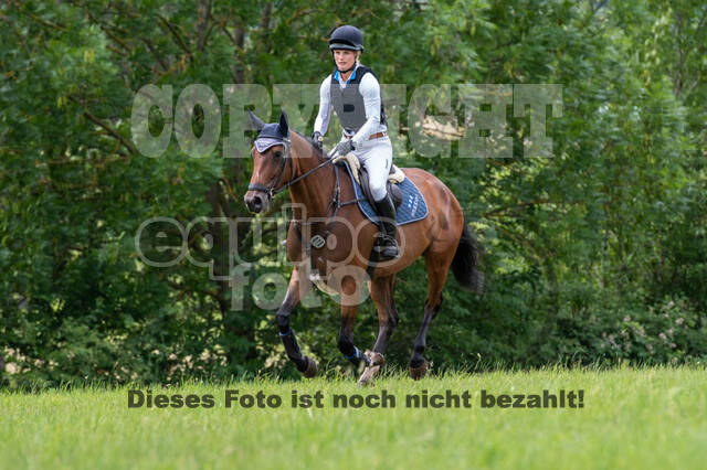 Bonn-Rodderberg Late-Entry-Vielseitigkeit (30.06.2020)