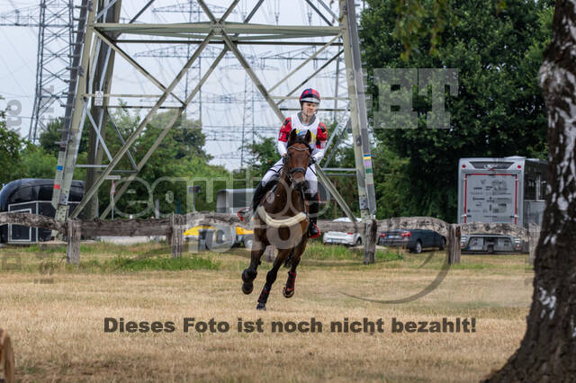 Late-Entry Vielseitigkeit Hamminkeln/Wesel (01.+02.08.2020)