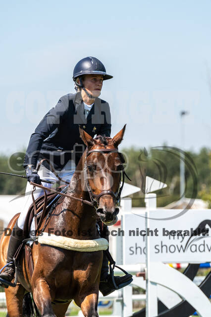 Kronenberg - De Peelbergen (August 2020)