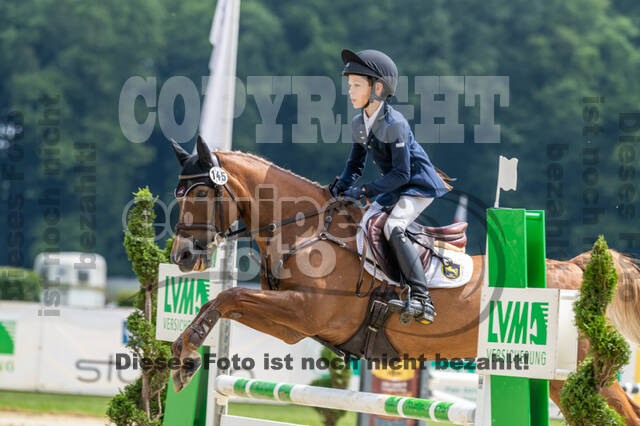 Goldene Schärpe 2021 - Ponys