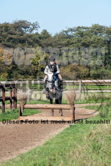 Vielseitigkeitslehrgang mit Jürg Kurbel (9.+10.11.2019)