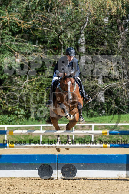RFV Dinslaken-Hiesfeld (Herbstturnier)